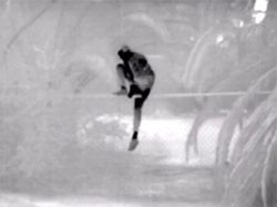 Seek_Thermal_ShieldPro_App1_tn