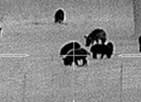Trijicon-REAP-IR-09