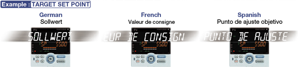 Multiple language support